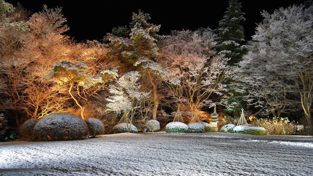 冬の日本庭園 / 5
