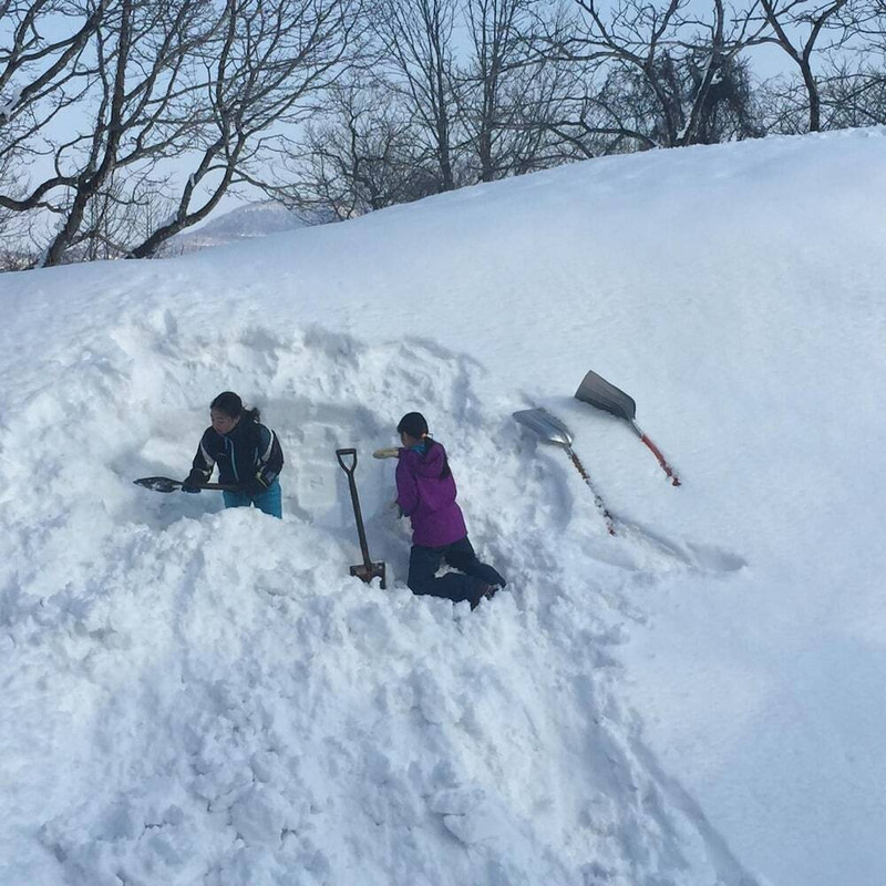 スノー スポーツとスキー