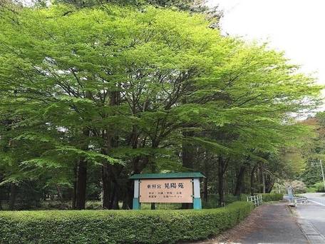 日光東照宮晃陽苑 / 4