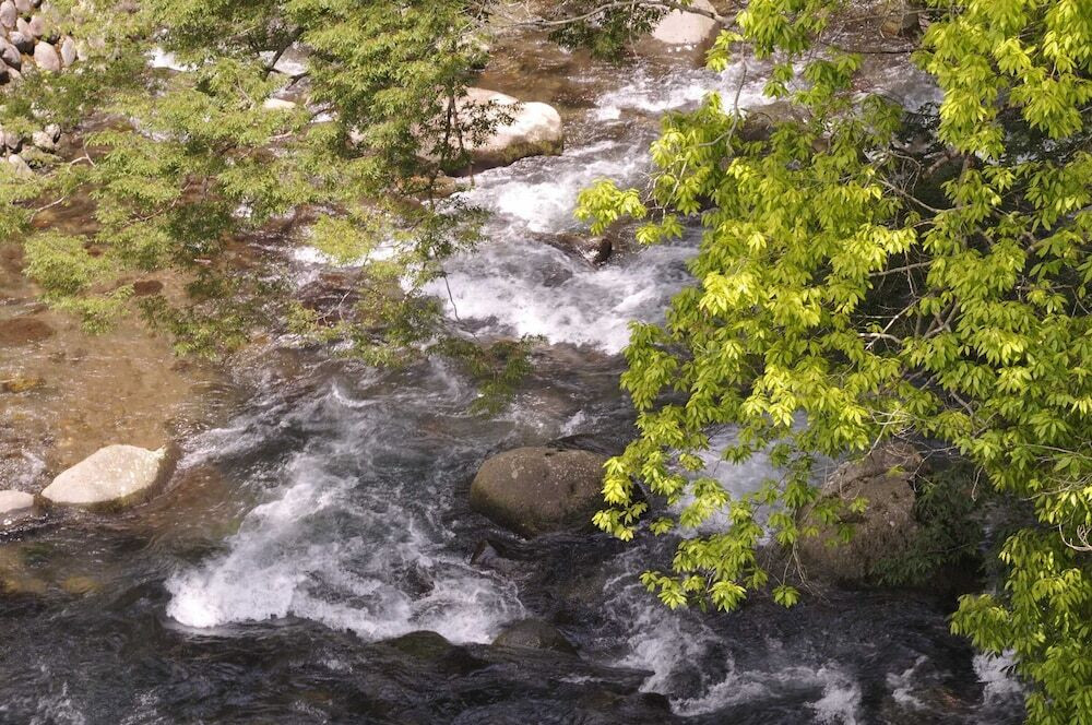 部屋からの景観