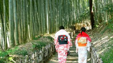 施設からの眺望 / 5