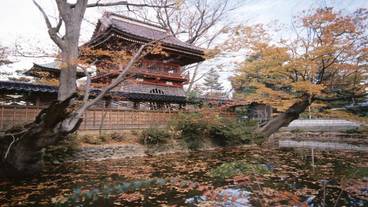 観光スポット / 6