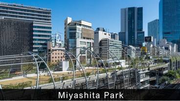 シティ ビュー / 13