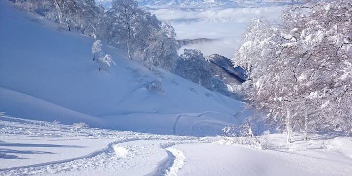 Nozawa Dream Central（長野県 民宿） / 1