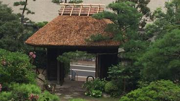 ガーデン ビュー / 29