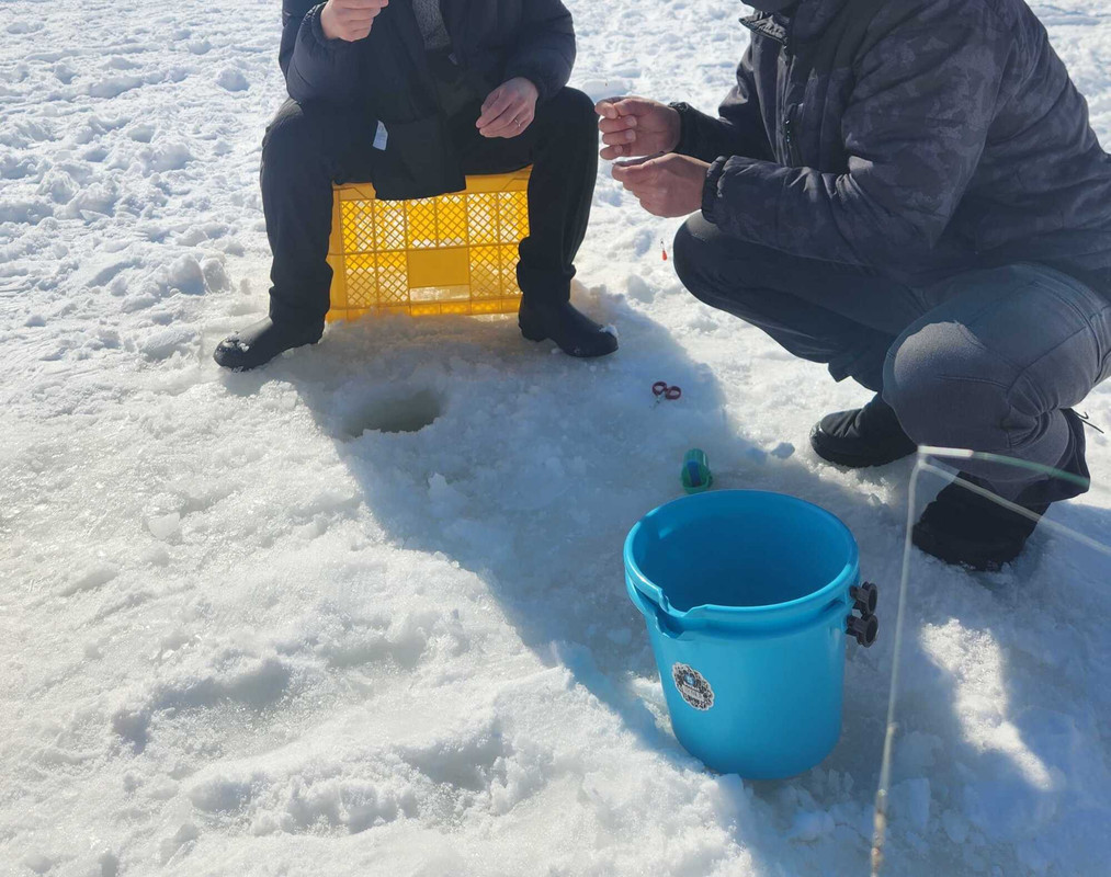 icotto_machicoさんの写真 / 3