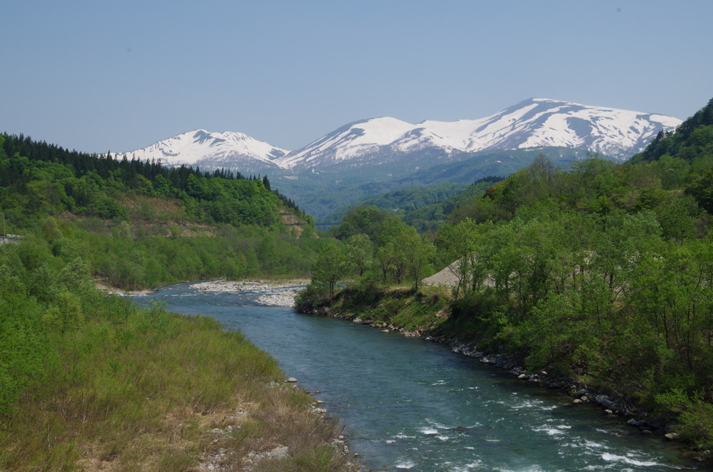 山形には、季節ごとの”山のもの”がたくさん！3638858