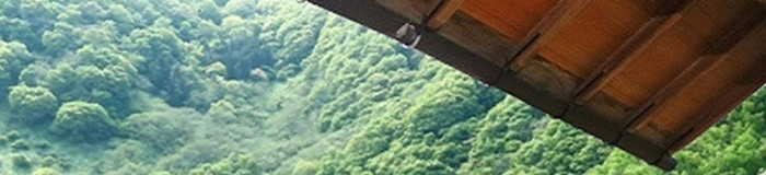 【芦ノ牧温泉】大内宿観光の拠点にも。渓谷美に心癒やされるホテル・旅館5選