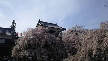 施設からの眺望 / 3