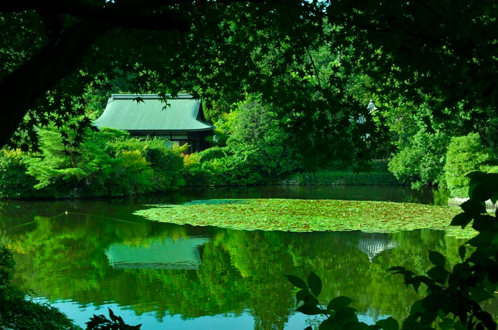 鏡容池を取り巻く庭園1025903