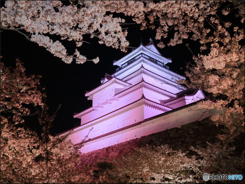 鶴ヶ城公園(会津若松市)1050983