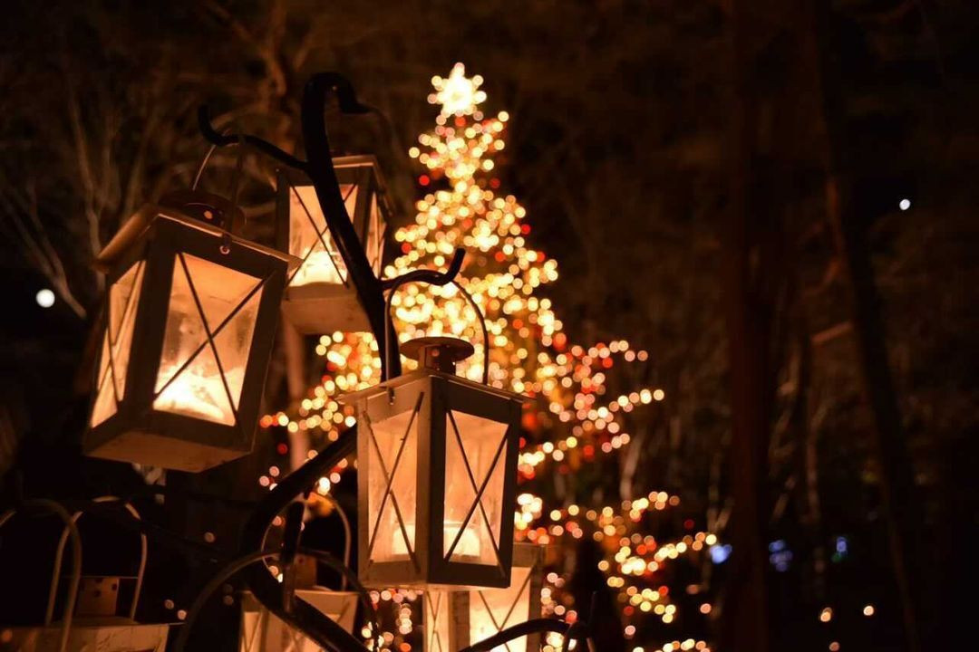 nana_57313さんの写真 / 4