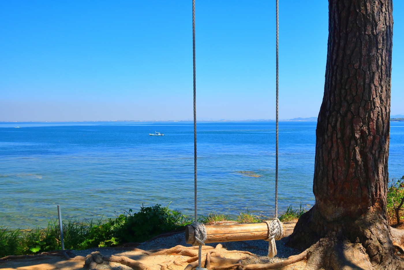 日間賀島　ブランコ