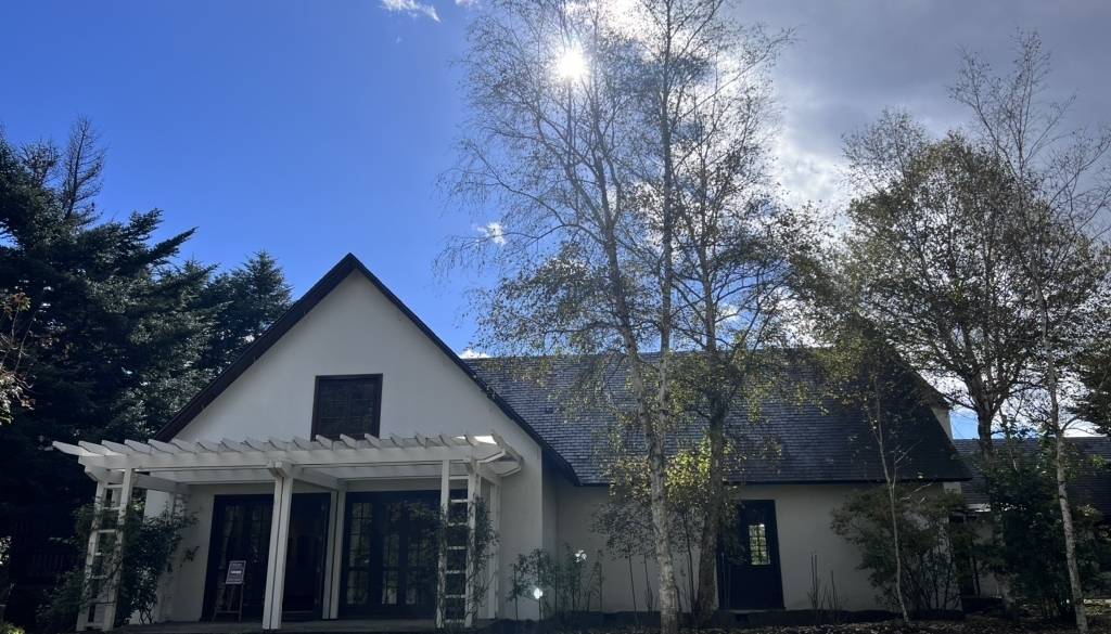 ルヴァン美術館 / 1