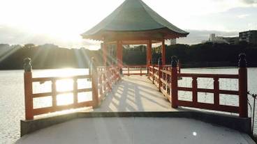 観光スポット / 10