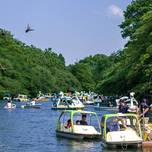 天気が良い日はボートに乗ろう！東京のボート乗り場がある公園6選