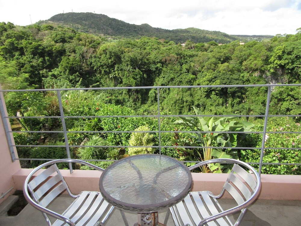 部屋からの景観