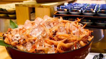 食事・飲み物 / 1