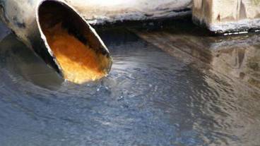 レストラン / 10