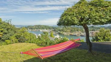 メイン イメージ / 1