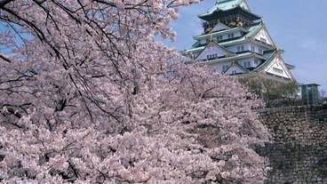 観光スポット / 17