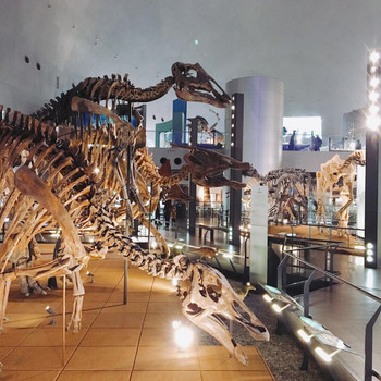 福井の観光地をカップルで制覇しよう。4239357