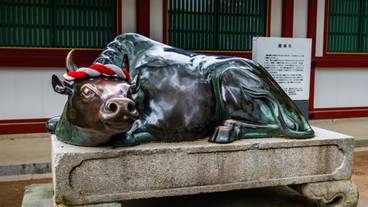 太宰府天満宮の御神牛像 / 6