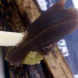 伊豆柏屋 本店（イズカシワヤ）