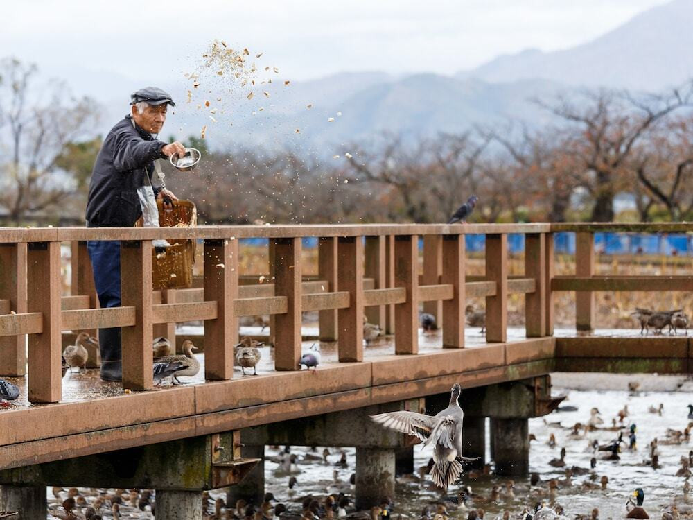 エコツアー