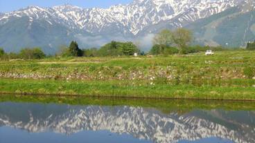 マウンテン ビュー / 31