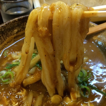 「得正 駅前第四ビル店」料理 575358 モチモチうどん