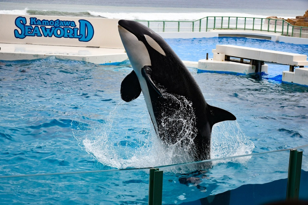 「鴨川」周辺エリア4265393