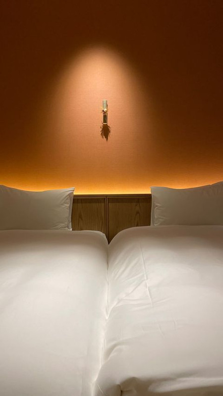 sameshihooooさんの写真 / 2