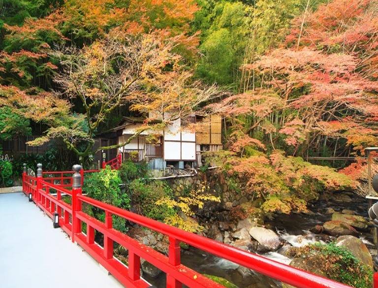 赤い橋を渡って
滝下の露天風呂へ / 1