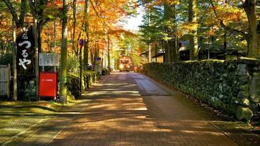 施設の敷地 / 13