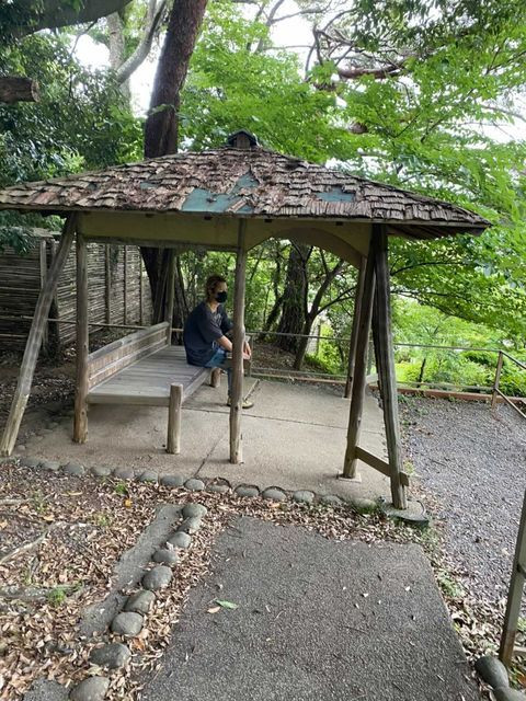 naoe.colonさんの写真 / 2