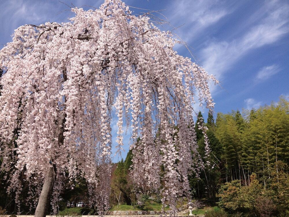 施設からの眺望