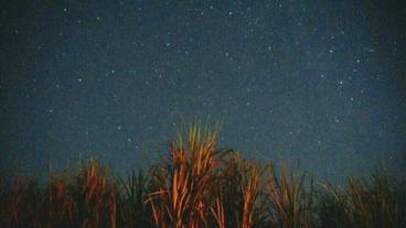 ランド ビュー / 29