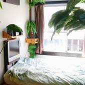 ロハスヴィラ（沖縄県 別荘・ヴィラ・コンドミニアム） / 4