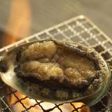 海の幸たっぷりの会席を
個室料亭でゆっくりと / 2