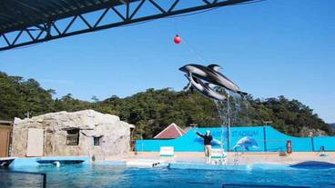 観光スポット / 4