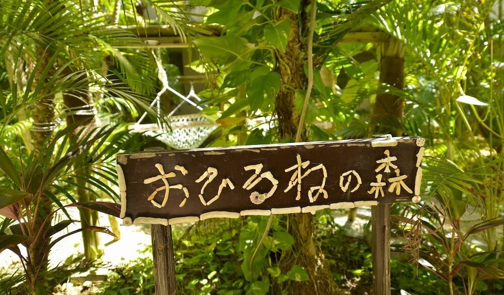 敷地内の雰囲気(1) / 2