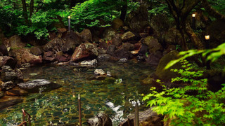 クラシックツイン(TWA)