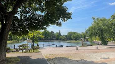 観光スポット / 10