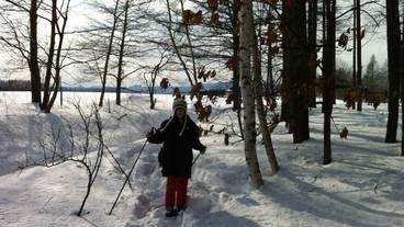 スノー スポーツとスキー / 3