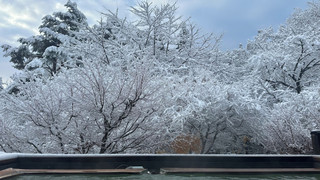 スタンダード スイート 禁煙 ガーデンビュー