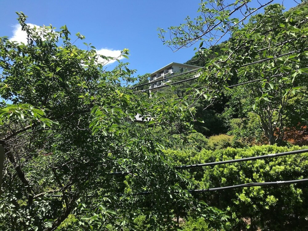 マウンテン ビュー