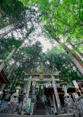 とっておきの女子旅を実現するために嬉しいポイント♩1840371