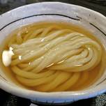 大阪の美味しい「うどん」を求めて。至高の一杯に出会える12店