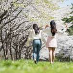 【長岡市】生命力あふれる春こそ旅にでよう。女子旅におすすめの観光スポット6選